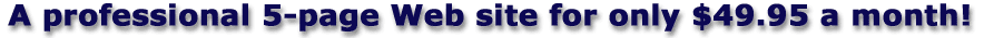 A professional 5-page Web site for only $49.95 a month!