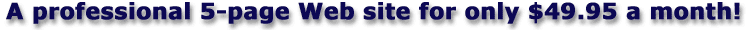 A professional 5-page Web site for only $49.95 a month!
